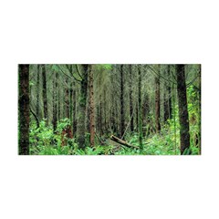 Forest Woods Nature Landscape Tree Yoga Headband