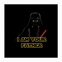 Darth Vader Cat Medium Glasses Cloth (2-side) by Valentinaart