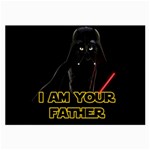 Darth Vader Cat Large Glasses Cloth (2-Side) Front