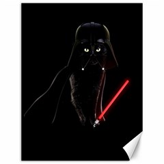 Darth Vader Cat Canvas 12  X 16   by Valentinaart