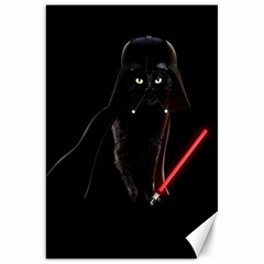 Darth Vader Cat Canvas 20  X 30  