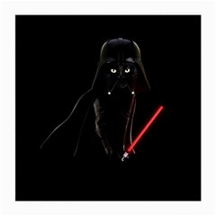 Darth Vader Cat Medium Glasses Cloth by Valentinaart