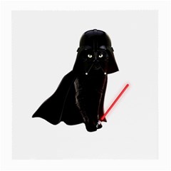 Darth Vader Cat Medium Glasses Cloth by Valentinaart