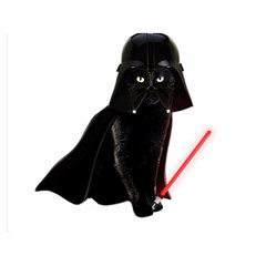 Darth Vader Cat Double Sided Flano Blanket (medium)  by Valentinaart