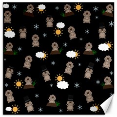 Groundhog Day Pattern Canvas 12  X 12   by Valentinaart