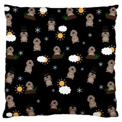 Groundhog Day Pattern Large Flano Cushion Case (two Sides) by Valentinaart