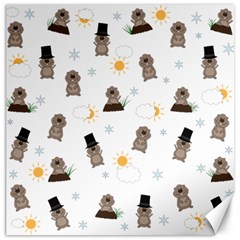 Groundhog Day Pattern Canvas 12  X 12   by Valentinaart