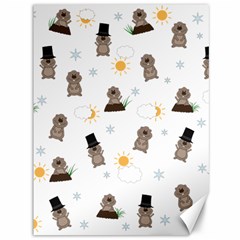 Groundhog Day Pattern Canvas 36  X 48   by Valentinaart