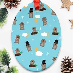 Groundhog Day Pattern Ornament (oval) by Valentinaart