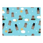 Groundhog Day Pattern Double Sided Flano Blanket (Mini)  35 x27  Blanket Front