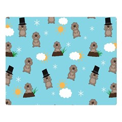 Groundhog Day Pattern Double Sided Flano Blanket (large)  by Valentinaart