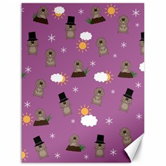 Groundhog Day Pattern Canvas 18  X 24   by Valentinaart