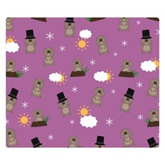 Groundhog Day Pattern Double Sided Flano Blanket (small)  by Valentinaart