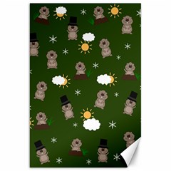 Groundhog Day Pattern Canvas 20  X 30   by Valentinaart