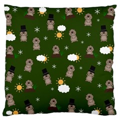 Groundhog Day Pattern Large Flano Cushion Case (one Side) by Valentinaart