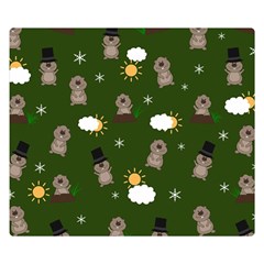 Groundhog Day Pattern Double Sided Flano Blanket (small)  by Valentinaart