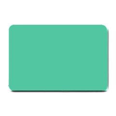 Seafoamy Green Small Doormat  by snowwhitegirl