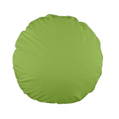 Grassy Green Standard 15  Premium Flano Round Cushions by snowwhitegirl