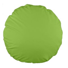 Minty Large 18  Premium Round Cushions