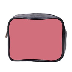 Pink Mauve Mini Toiletries Bag 2-side by snowwhitegirl