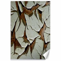 Dry Nature Pattern Background Canvas 24  X 36  by Nexatart