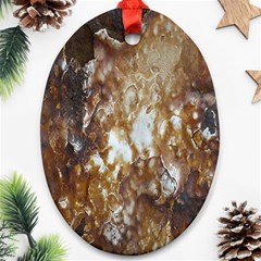 Rusty Texture Pattern Daniel Ornament (Oval)