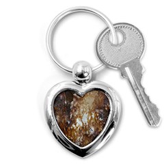 Rusty Texture Pattern Daniel Key Chains (heart)  by Nexatart