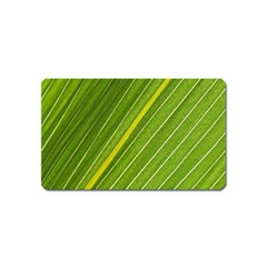 Leaf Plant Nature Pattern Magnet (name Card) by Nexatart