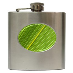 Leaf Plant Nature Pattern Hip Flask (6 Oz) by Nexatart