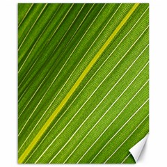 Leaf Plant Nature Pattern Canvas 16  X 20   by Nexatart