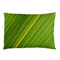 Leaf Plant Nature Pattern Pillow Case by Nexatart