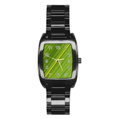 Leaf Plant Nature Pattern Stainless Steel Barrel Watch by Nexatart