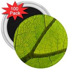 Green Leaf Plant Nature Structure 3  Magnets (100 Pack) by Nexatart