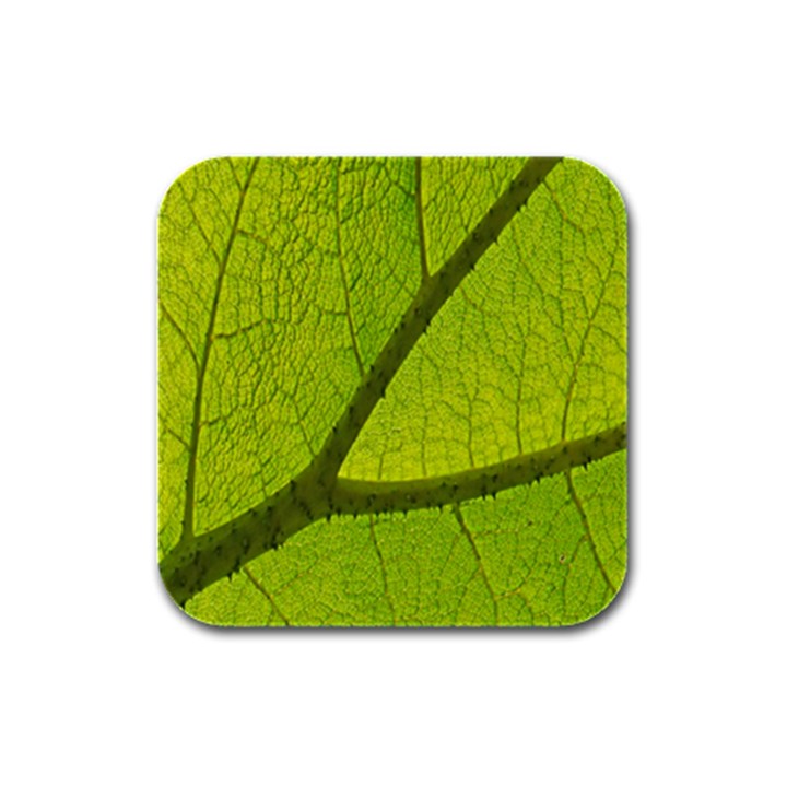 Green Leaf Plant Nature Structure Rubber Square Coaster (4 pack) 