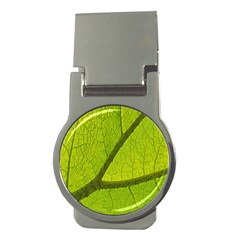 Green Leaf Plant Nature Structure Money Clips (round)  by Nexatart