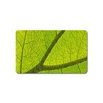 Green Leaf Plant Nature Structure Magnet (Name Card) Front