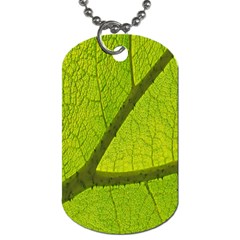 Green Leaf Plant Nature Structure Dog Tag (two Sides) by Nexatart