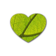 Green Leaf Plant Nature Structure Rubber Coaster (heart)  by Nexatart