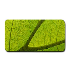 Green Leaf Plant Nature Structure Medium Bar Mats