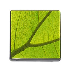 Green Leaf Plant Nature Structure Memory Card Reader (square) by Nexatart