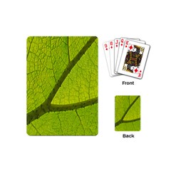 Green Leaf Plant Nature Structure Playing Cards (mini)  by Nexatart