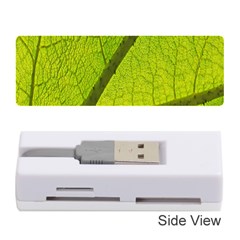 Green Leaf Plant Nature Structure Memory Card Reader (stick)  by Nexatart