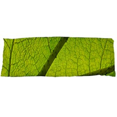 Green Leaf Plant Nature Structure Body Pillow Case Dakimakura (two Sides) by Nexatart