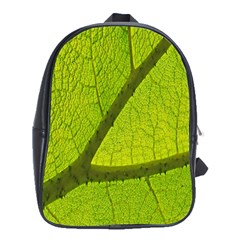 Green Leaf Plant Nature Structure School Bag (xl) by Nexatart