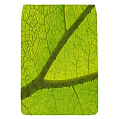 Green Leaf Plant Nature Structure Flap Covers (s)  by Nexatart