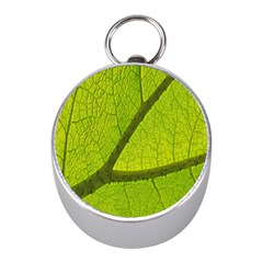 Green Leaf Plant Nature Structure Mini Silver Compasses by Nexatart