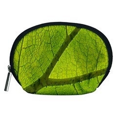 Green Leaf Plant Nature Structure Accessory Pouches (medium)  by Nexatart