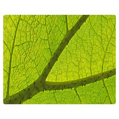 Green Leaf Plant Nature Structure Double Sided Flano Blanket (medium)  by Nexatart