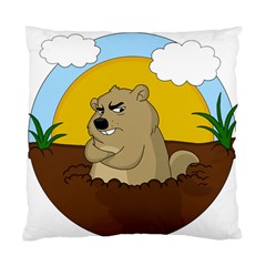 Groundhog Day Standard Cushion Case (one Side) by Valentinaart