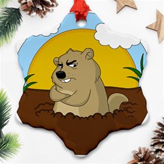 Groundhog Day Snowflake Ornament (two Sides) by Valentinaart